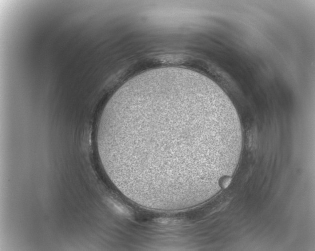 X0000068300733200605051932