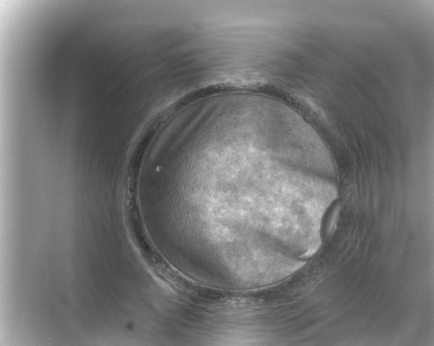 X0000068300736200605051932