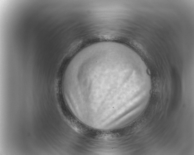 X0000068300738200605051932