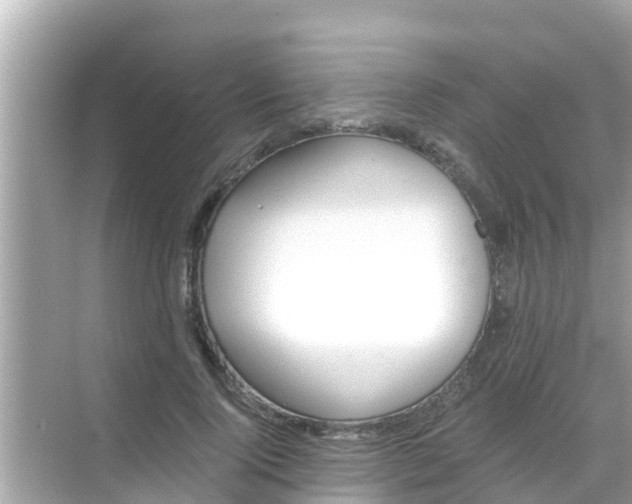 X0000068300740200605051932