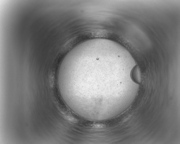 X0000068300741200605051932