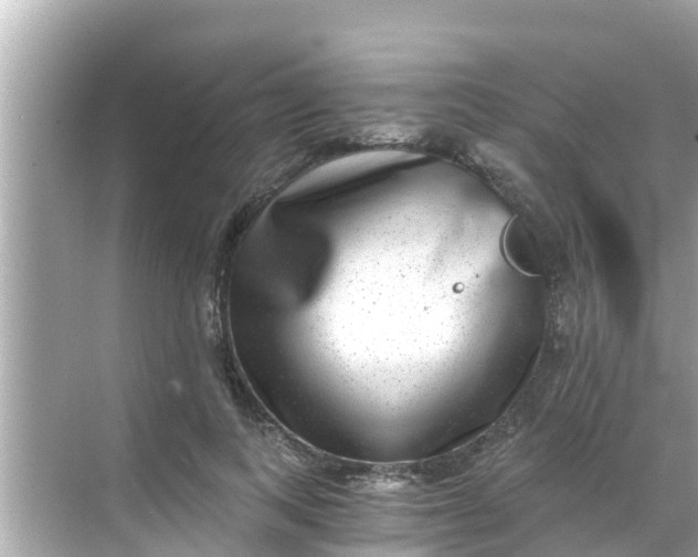 X0000068300743200605051932