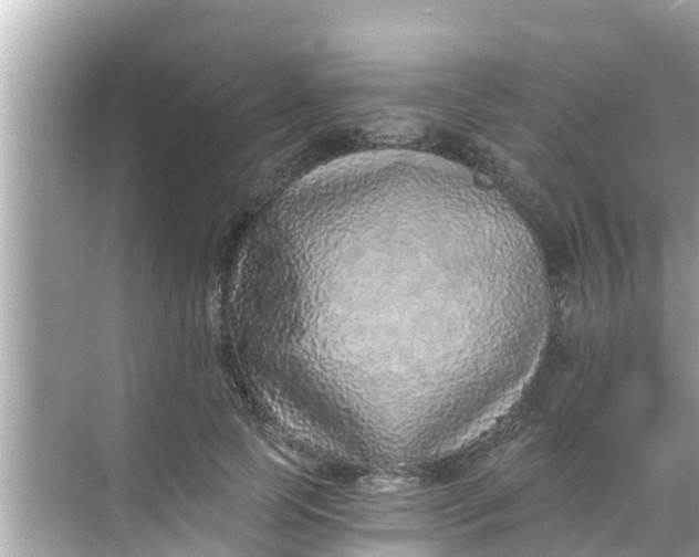 X0000068300745200605051932