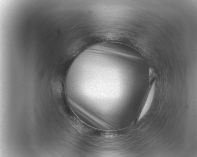 X0000068300746200605051933