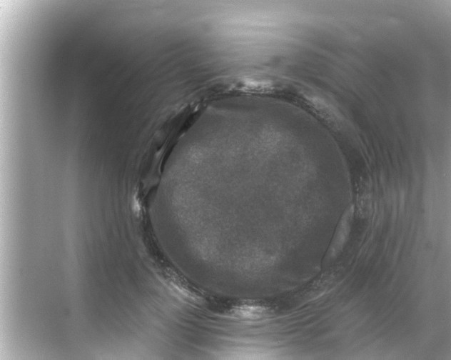 X0000068300748200605051933