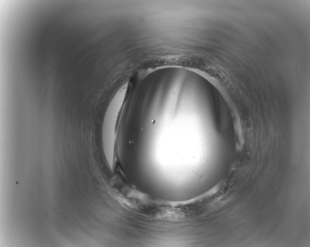 X0000068300750200605051933