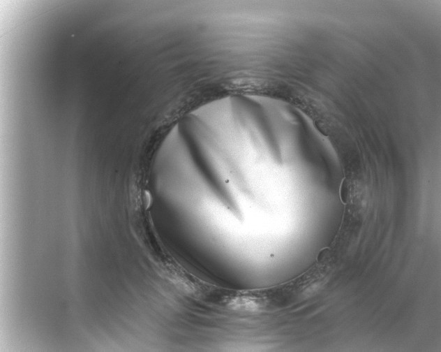 X0000068300751200605051933