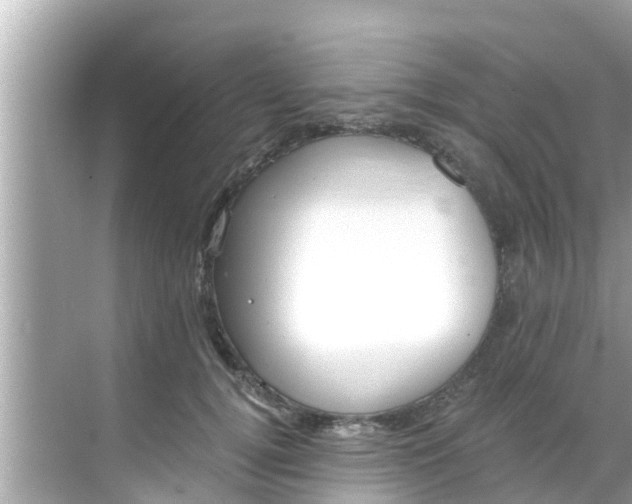 X0000068300752200605051933