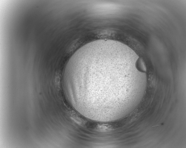 X0000068300753200605051933