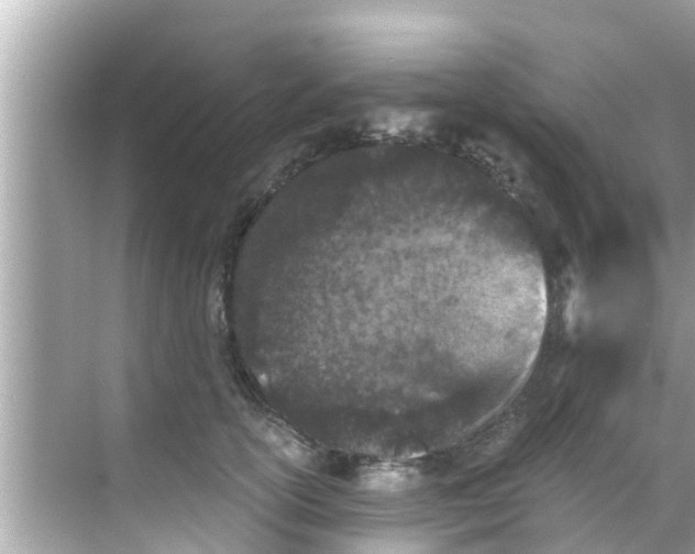 X0000068300754200605051933