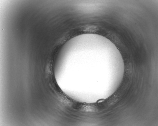 X0000068300755200605051933