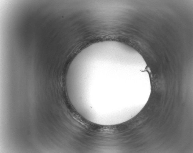 X0000068300756200605051933