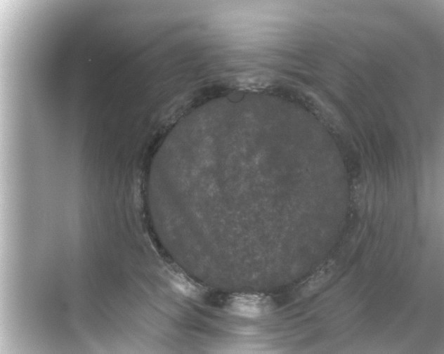 X0000068300757200605051933