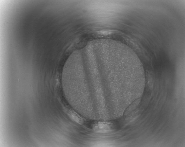 X0000068300758200605051933