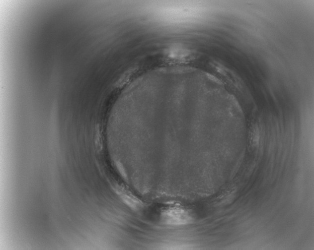 X0000068300759200605051933