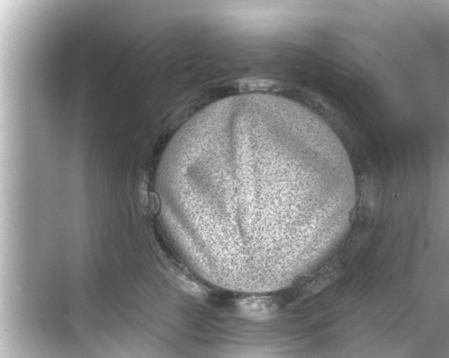 X0000068300761200605051933