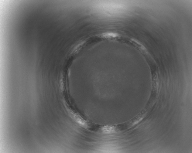 X0000068300762200605051933