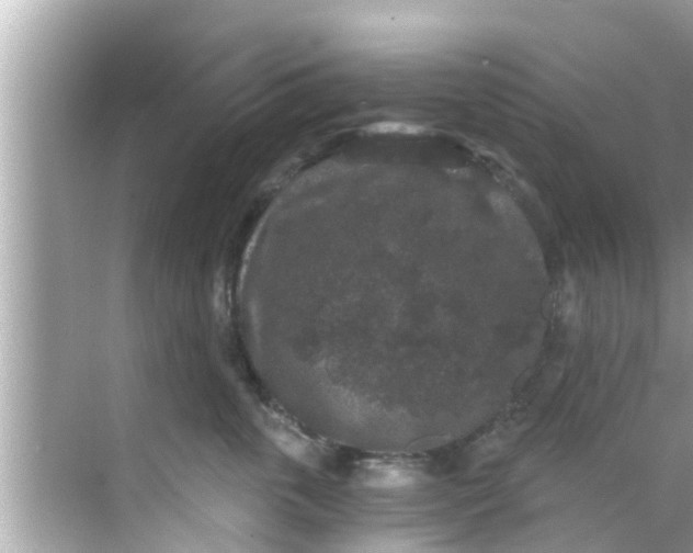 X0000068300763200605051933