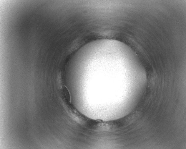 X0000068300764200605051933