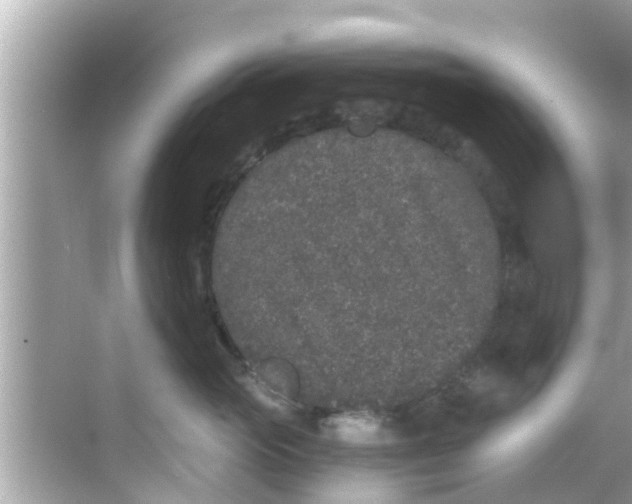 X0000068300765200605051933