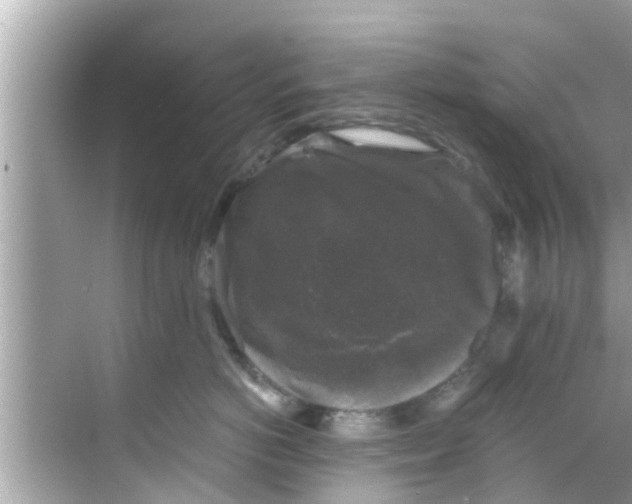 X0000068300766200605051933