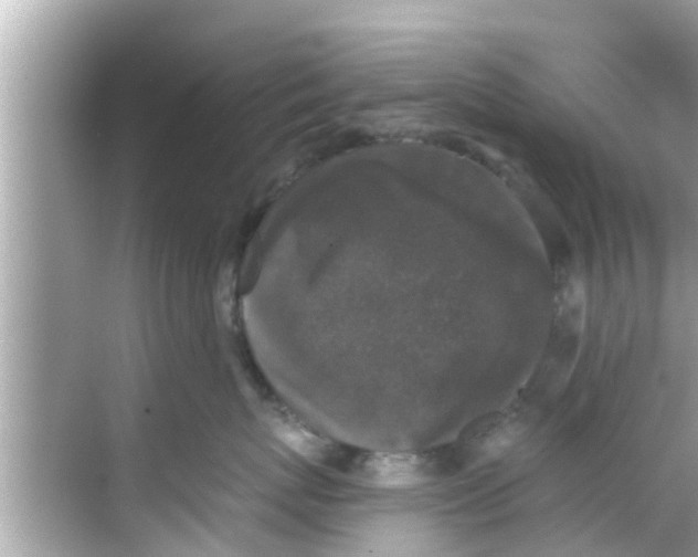 X0000068300767200605051933