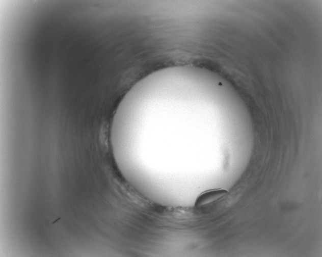 X0000068300768200605051933