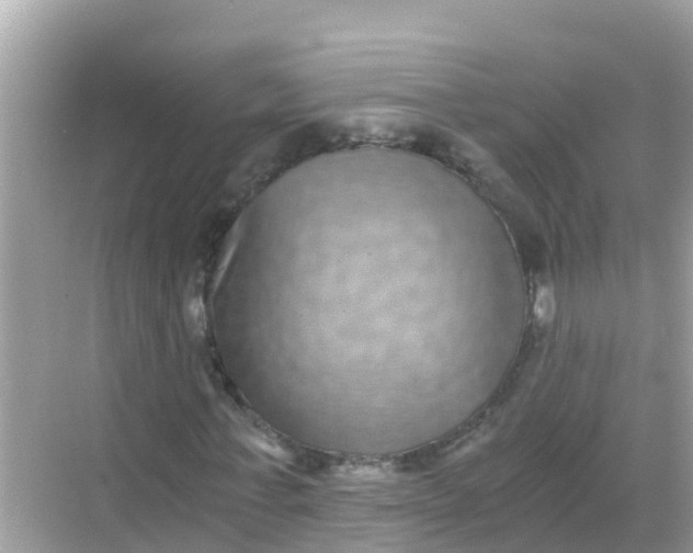 X0000068300771200605051932