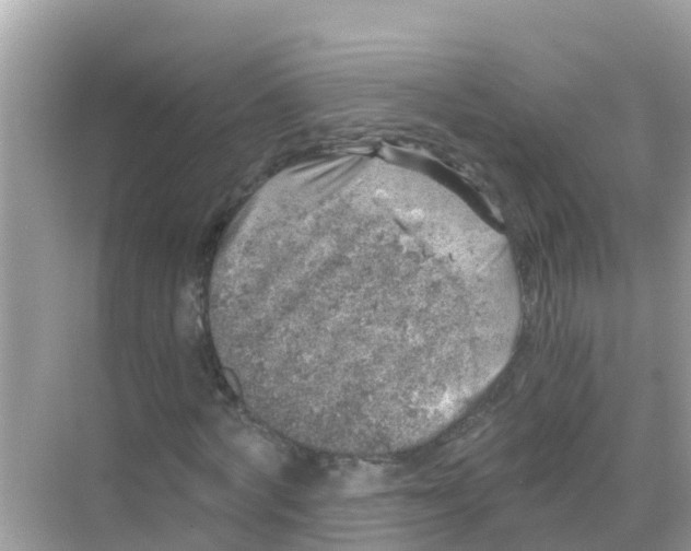 X0000068300772200605051932