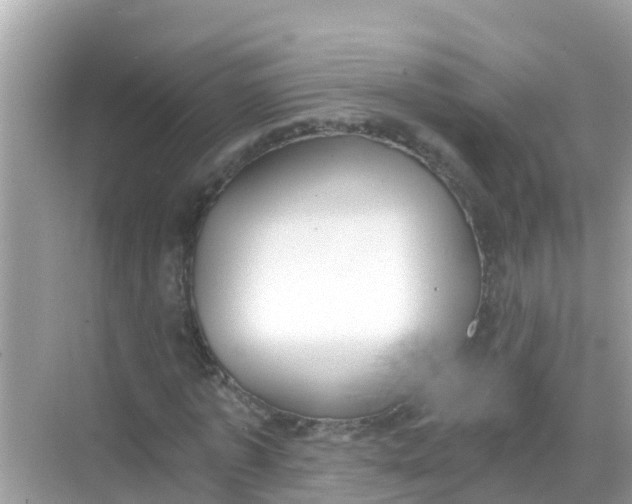 X0000068300773200605051932