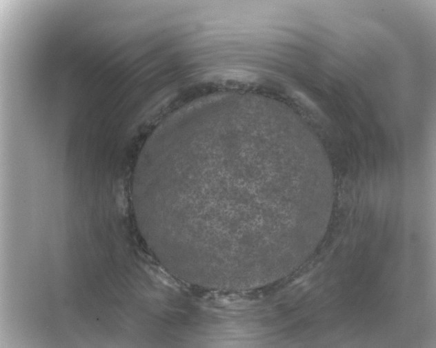 X0000068300774200605051932