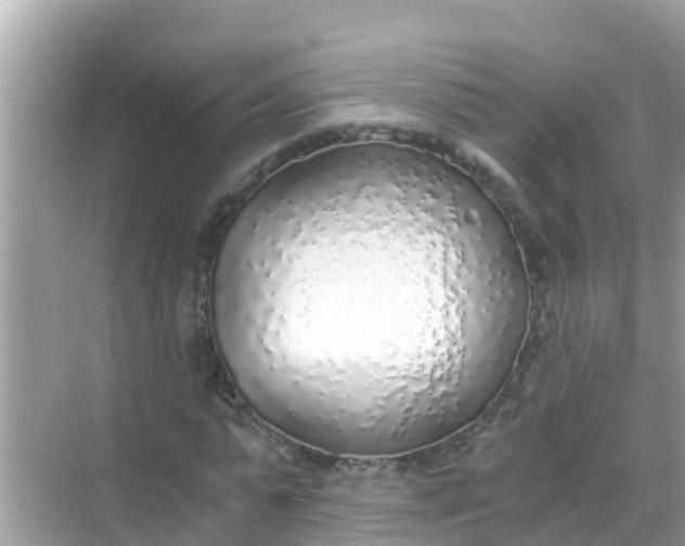 X0000068300775200605051932