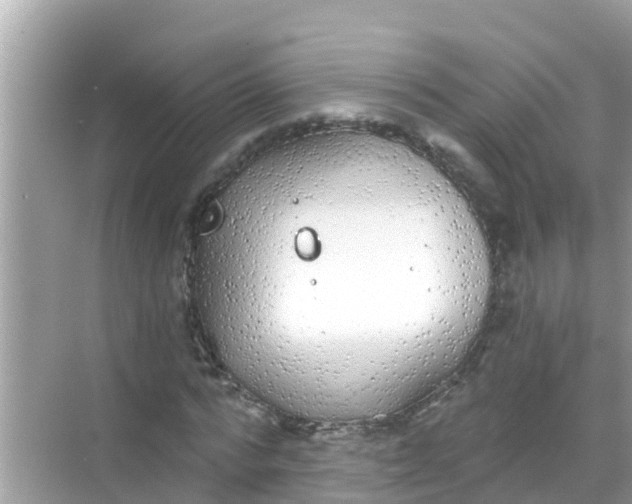 X0000068300776200605051932