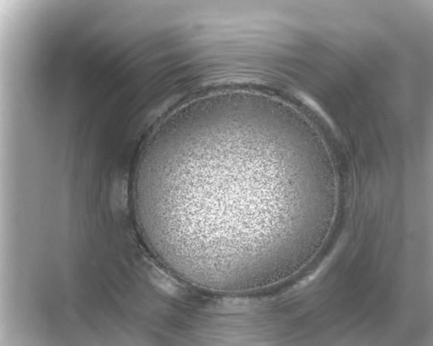 X0000068300777200605051932