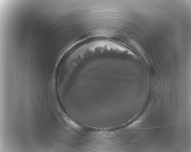 X0000068300779200605051932