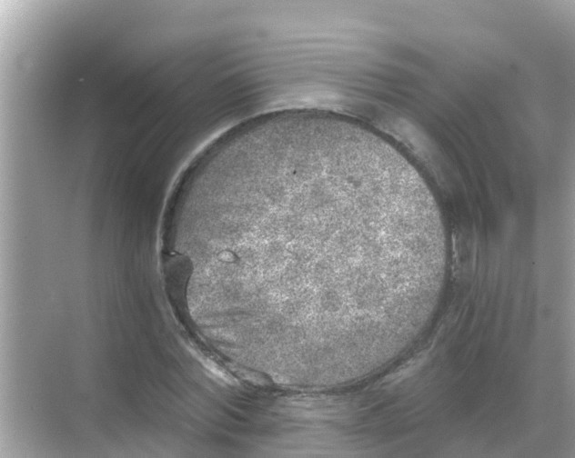 X0000068300780200605051932