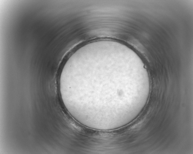 X0000068300782200605051932