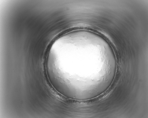 X0000068300783200605051932