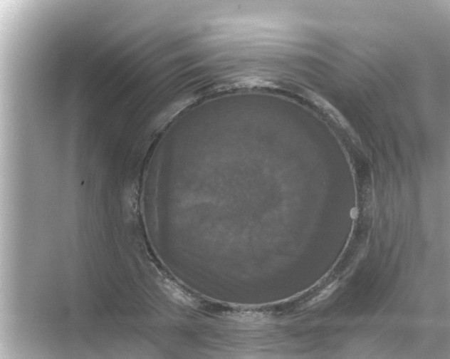 X0000068300785200605051932