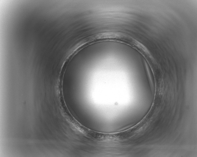 X0000068300786200605051932