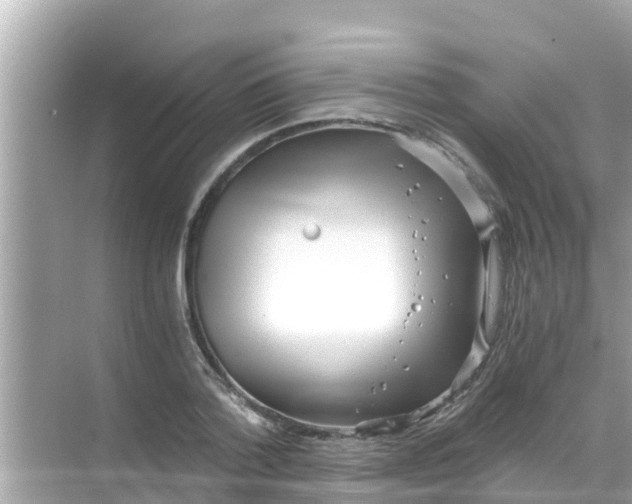 X0000068300788200605051932