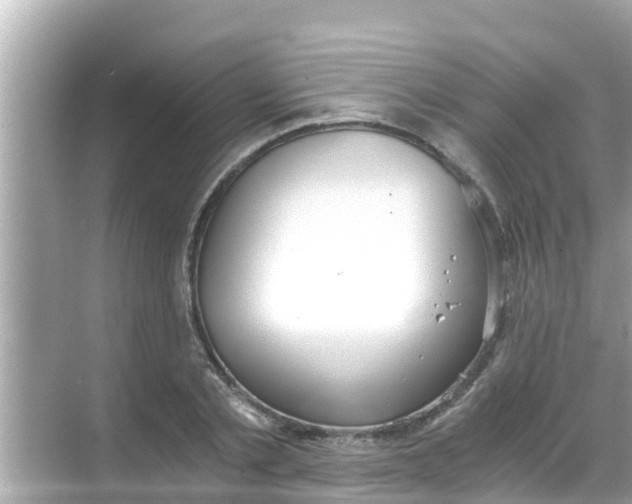 X0000068300789200605051932