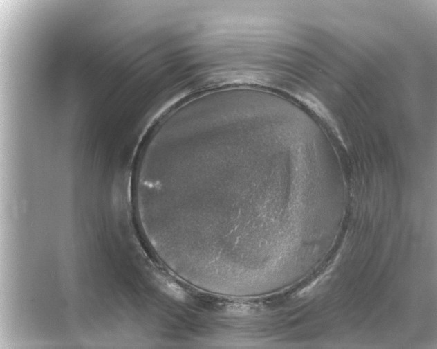 X0000068300790200605051932