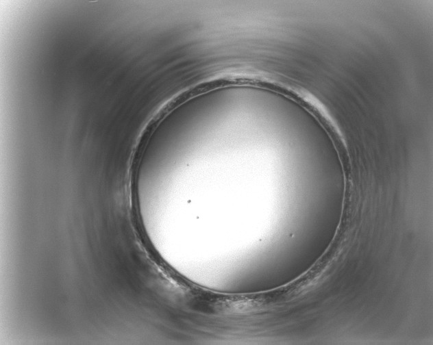 X0000068300791200605051932