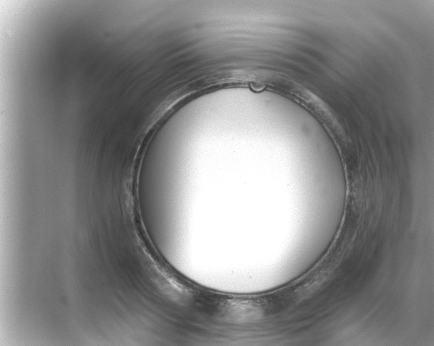 X0000068300794200605051932