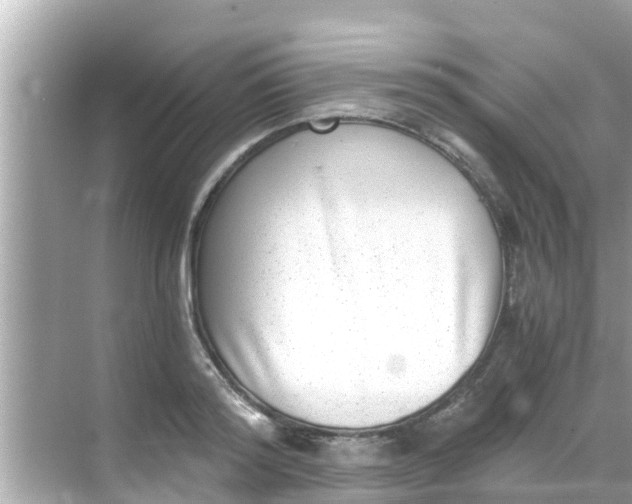 X0000068300796200605051932