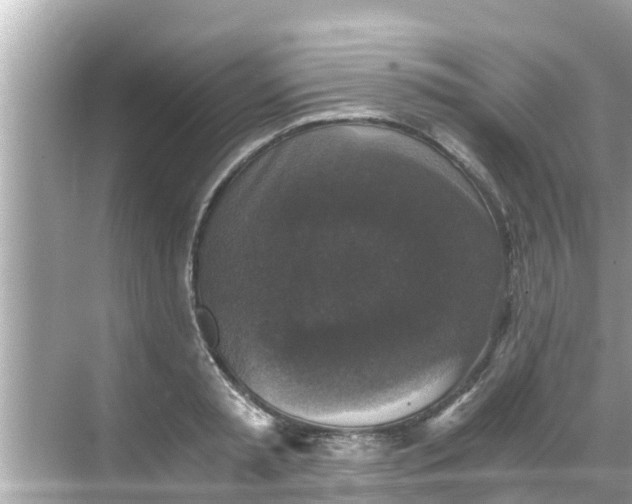 X0000068300797200605051932