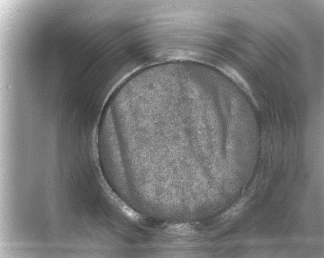 X0000068300798200605051932