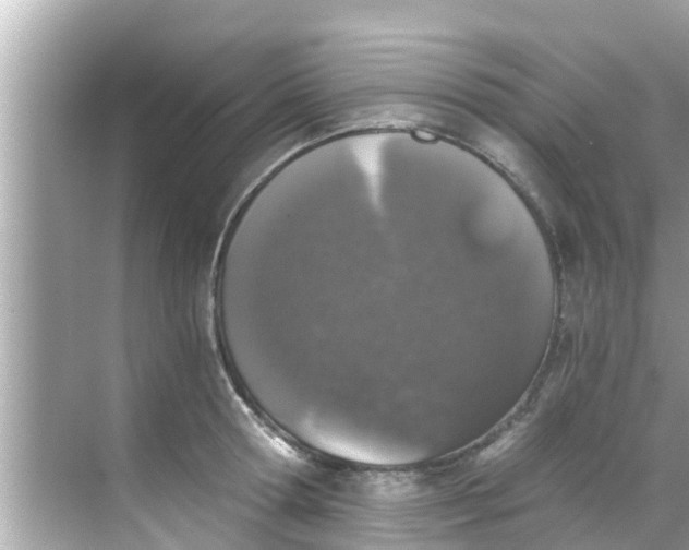 X0000068300802200605051932