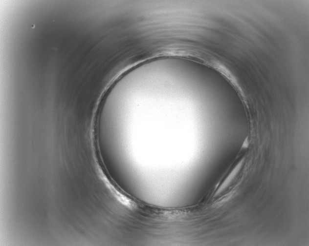 X0000068300803200605051932